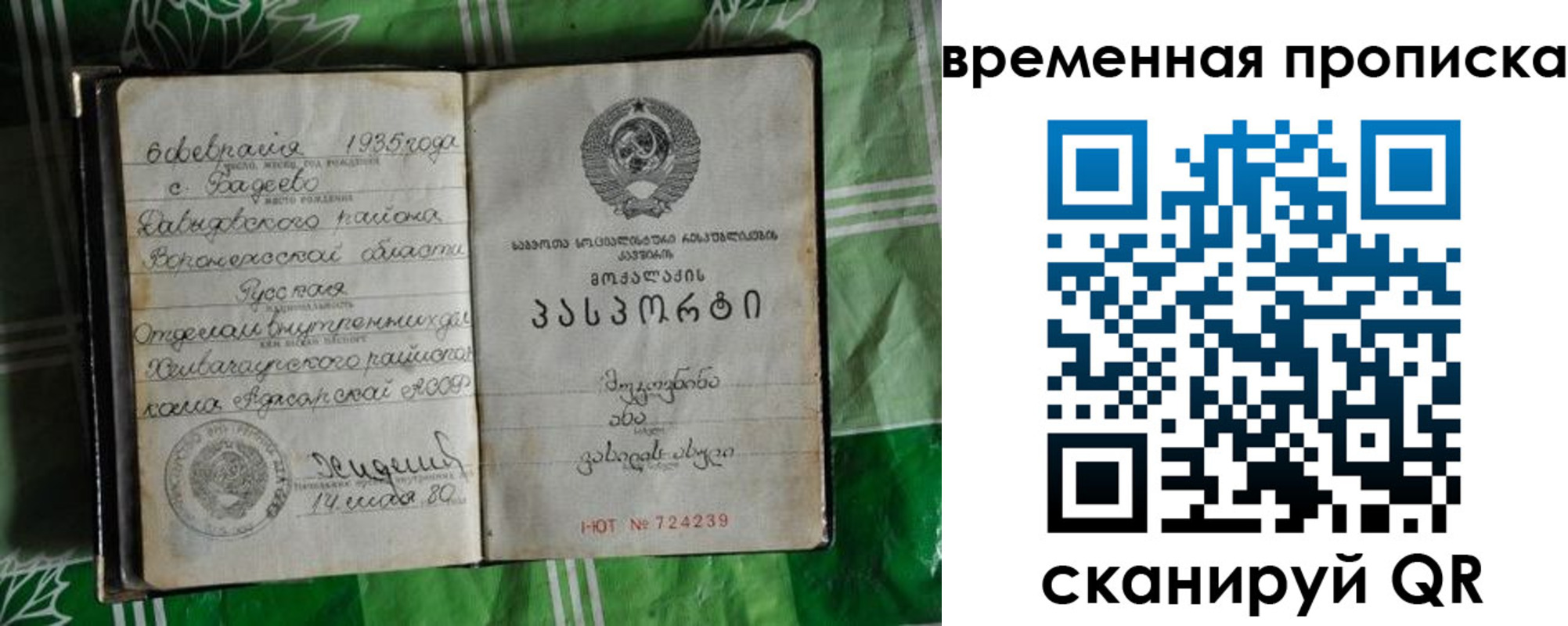 прописка в Электрогорске